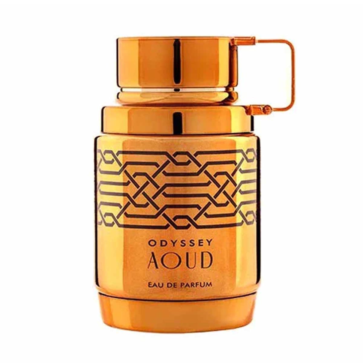 Odyssey Aoud Eau de Parfum 100ml
